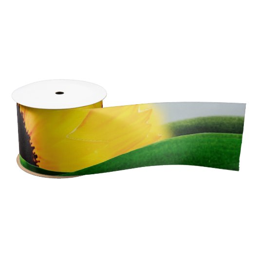 RUBAN EN SATIN COLLINE DU SOL (Bobine)