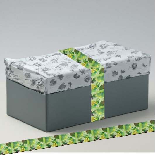 Ruban En Satin Conception du dégradé de grenouille