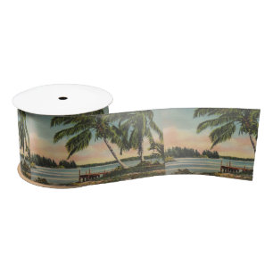 Ruban En Satin Coucher de soleil de brise tropicale vintage de co