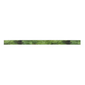 Ruban En Satin Cypress (Devant)