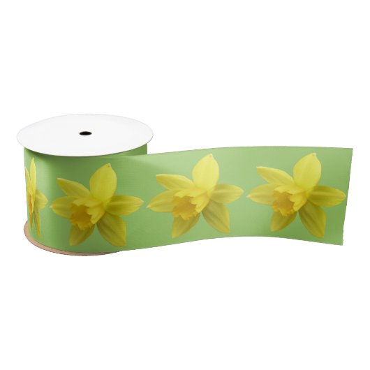 Ruban En Satin Daffodiques jaunes sur vert clair (Bobine)