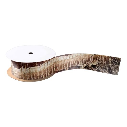 Ruban En Satin Date Palm Tree Trunk Texture Fermer Photo Image (Bobine)