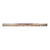 Ruban En Satin Date Palm Tree Trunk Texture Fermer Photo Image (Devant)