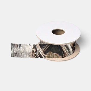 Ruban En Satin Date Palm Tree Trunk Texture Fermer Photo Image