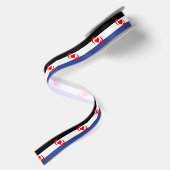 Ruban En Satin Drapeau de la fierté Switch (Dos)