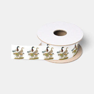 Ruban En Satin Famille de canards de Saxe