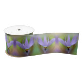 Ruban En Satin Fleur Lily violette pâle gros (Bobine)