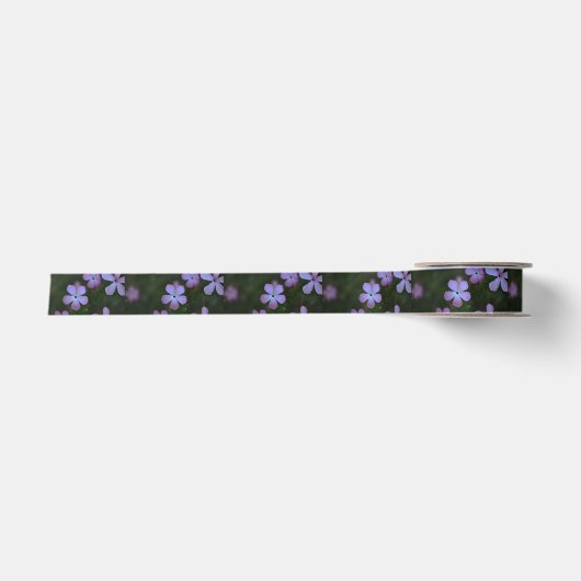 Ruban En Satin Fleur sauvage rose (Devant)