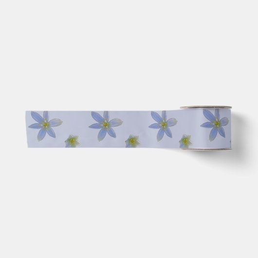 Ruban En Satin fleurir en blanc (Devant)