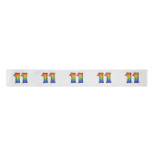 Ruban En Satin Fun, Rainbow Motif "11" Numéro d'événement (Gris) (Devant)