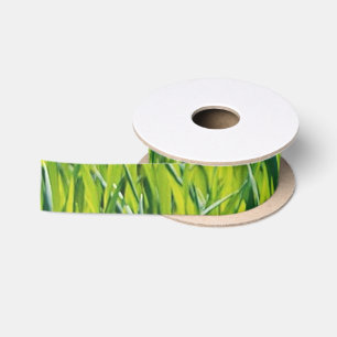Ruban En Satin herbe verte