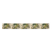 Ruban En Satin Illustration Audubon Carolina Parrot Bird (Devant)