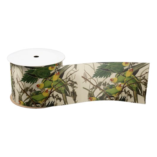Ruban En Satin Illustration Audubon Carolina Parrot Bird (Bobine)