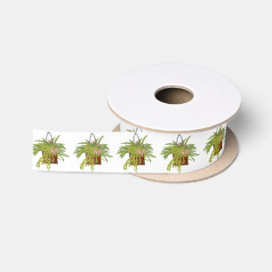 Ruban En Satin Illustration botanique d'une plante grimpante de l
