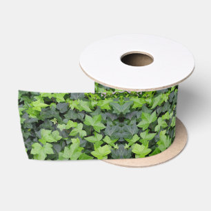 Ruban En Satin Impression botanique de lierre vert