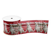 Ruban En Satin Jack Russell Red Holiday Plaid Funny Chien Noël (Bobine)