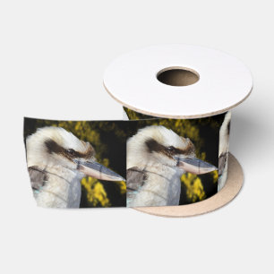 Ruban En Satin Kookaburra, aile bleue australienne,