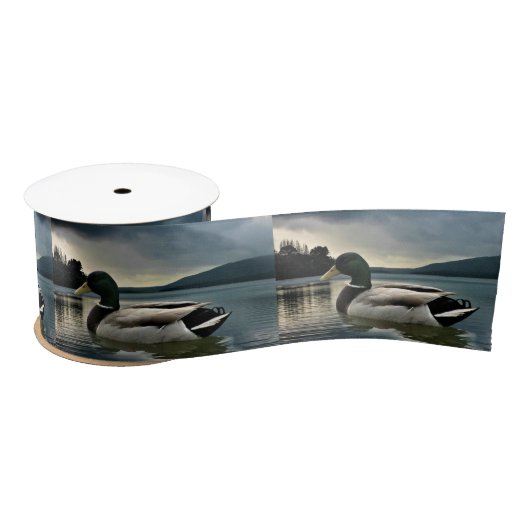 Ruban En Satin Mallard Duck (Bobine)