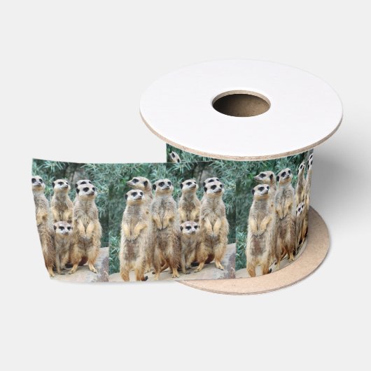 Ruban En Satin Meerkat 006 (Bobine)