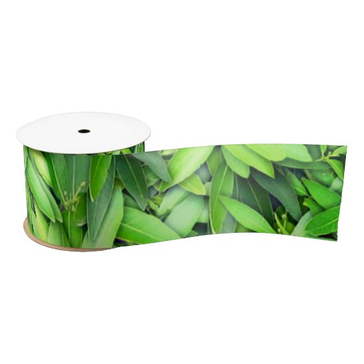 Ruban En Satin Motif Feuille verdoyant - Nature Botanique (Bobine)