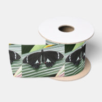 Papillon tropical noir et blanc