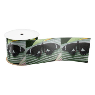 Ruban En Satin Papillon tropical noir et blanc