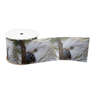 Ruban En Satin Perroquet de Cockatoo australien blanc,