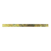 Ruban En Satin Pierres Mossy Falln (Devant)