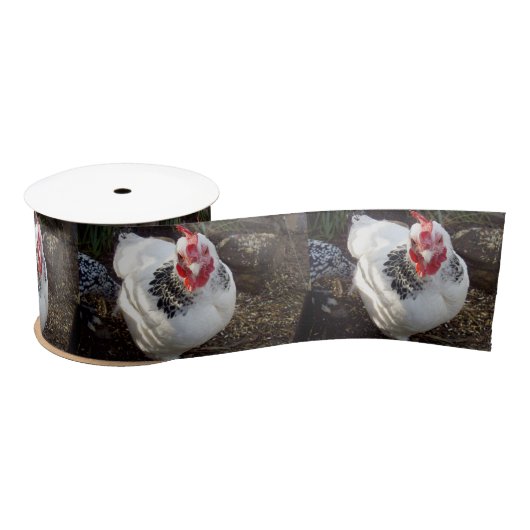 Ruban En Satin Poulet Noir Et Blanc, (Bobine)