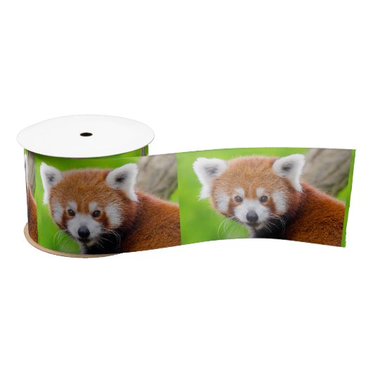 Ruban En Satin Red Panda (Bobine)
