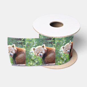 Ruban En Satin Red_Panda_2015_0306