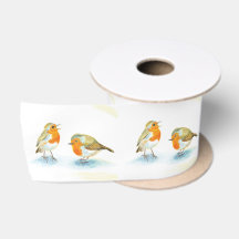 Robins rouges en hiver