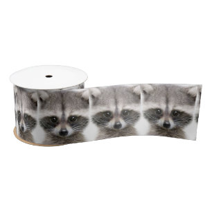 Ruban En Satin Ruban de la Figure Raccoon