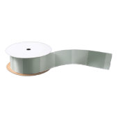 Ruban En Satin Ruban plat (vert/blanc) (Bobine)