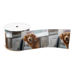 Ruban En Satin Salut