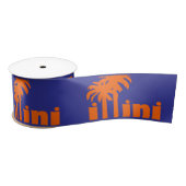 Ruban En Satin San Diego Illini Ribbon (Bobine)