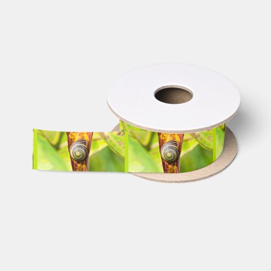 Ruban En Satin serrure fixation ruban satin (Bobine)