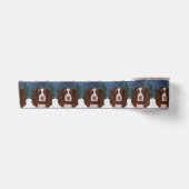 RUBAN EN SATIN SPRINGER SPANIEL ANGLAIS (Devant)