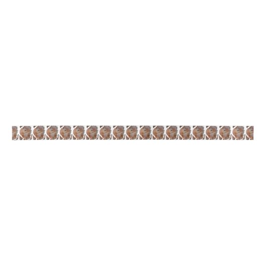 RUBAN EN SATIN SQUIRREL EICHHÖRNCHEN ÉCUREUIL (Devant)