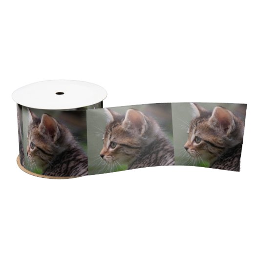 Ruban En Satin Tabby chat kitten portrait 3" ruban satin (Bobine)