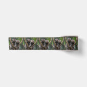 Ruban En Satin Tiny Marmoset Titans Parmi les Branches, (Devant)