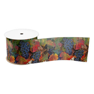 Ruban En Satin Vignoble de belle automne
