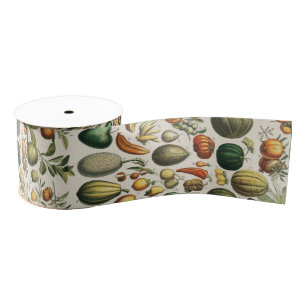 Ruban Gros-grain Affiches de fruits botaniques vintage françaises