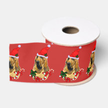 Bloodhound Noël Joyeux