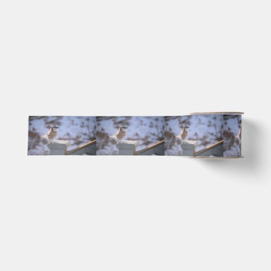Ruban Gros-grain Blue Jay (Devant)