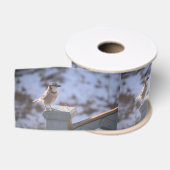 Ruban Gros-grain Blue Jay (Bobine)