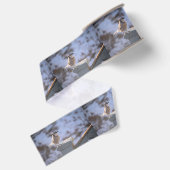 Ruban Gros-grain Blue Jay (Dos)
