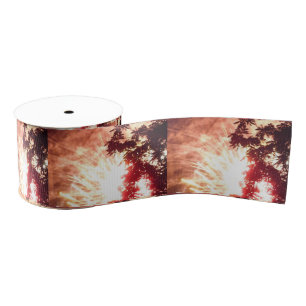 Ruban Gros-grain Boule de ruban Fireworks 12