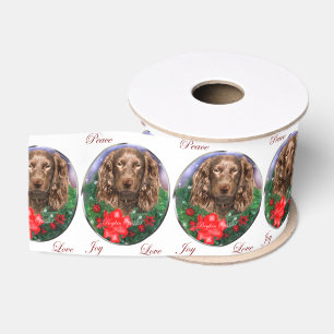 Ruban Gros-grain Boykin Spaniel Noël