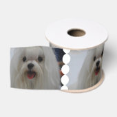 Ruban Gros-grain Chien maltais blanc (Bobine)